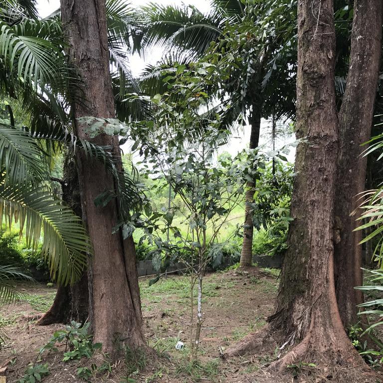 Coconut Bungalow Nai Yang Bagian luar foto